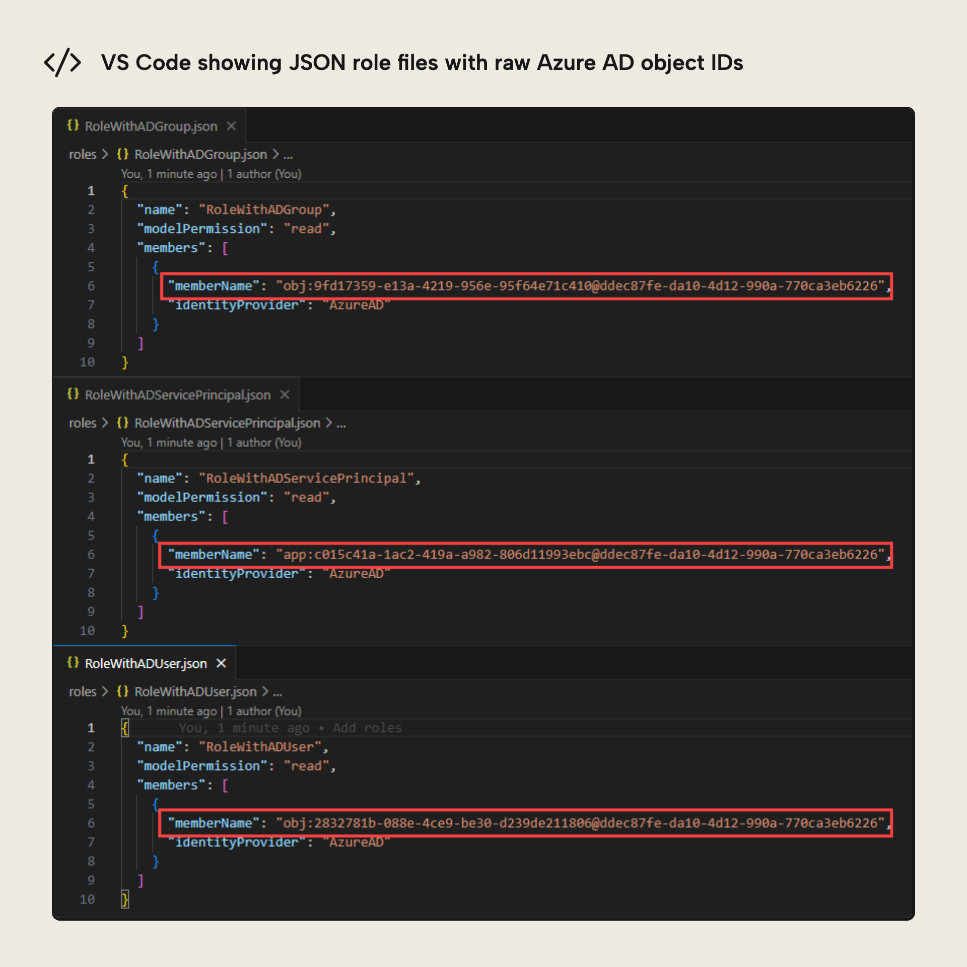 A script designed to document the security roles of a model's members