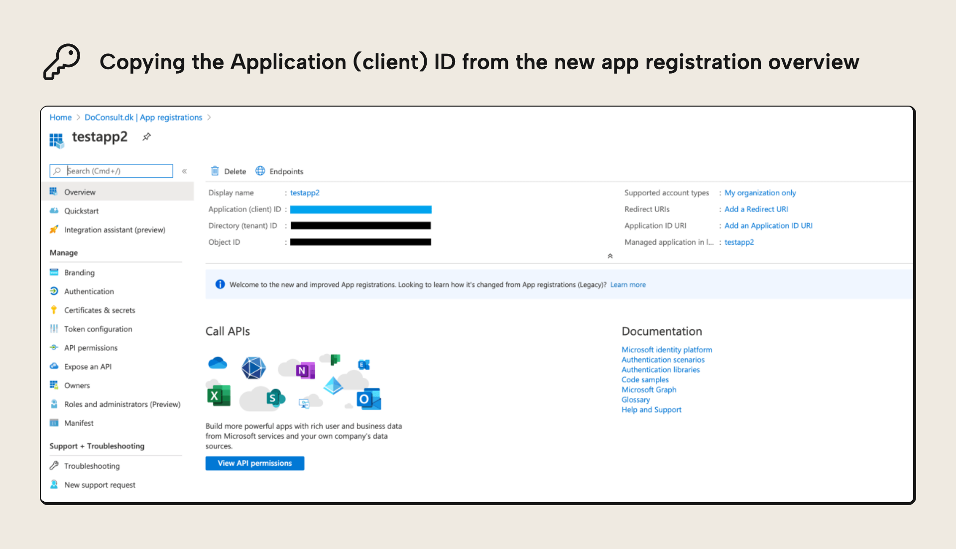 Copying the Application (client) ID from the app registration