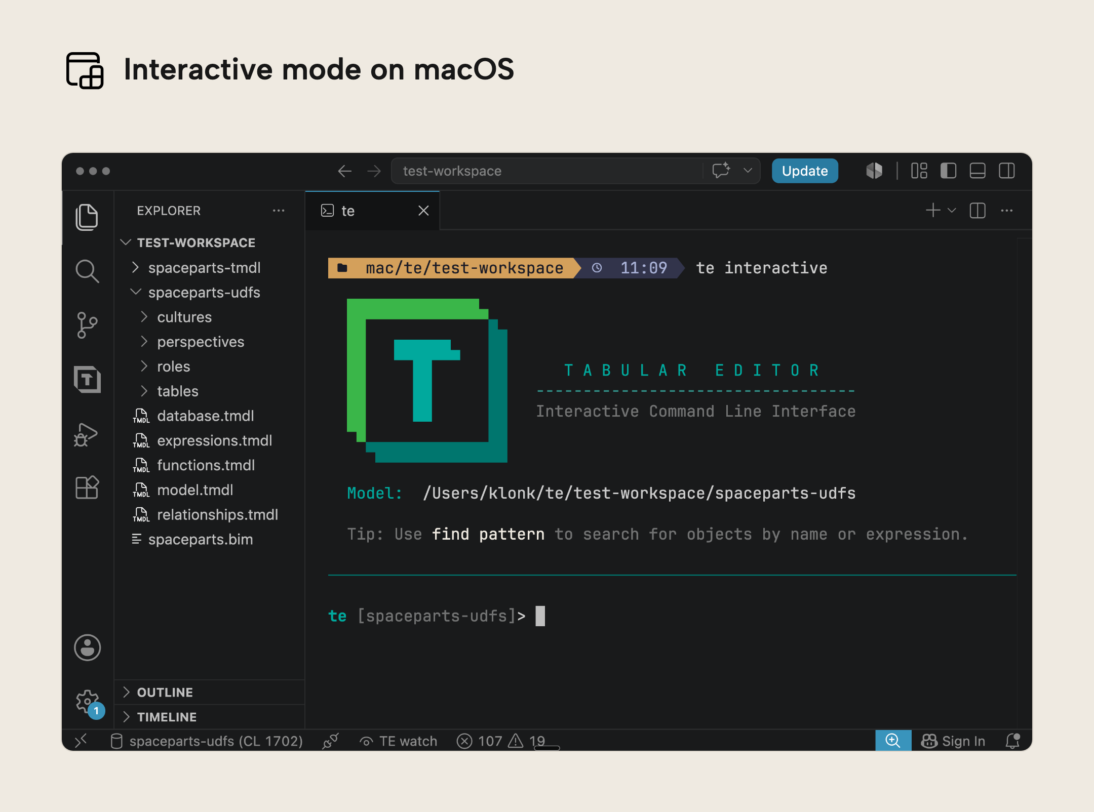 The te CLI interactive mode banner running in a VS Code terminal on macOS, showing a loaded model and the command prompt