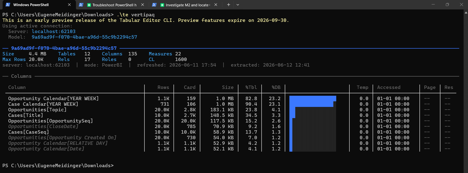 Terminal output of the te vertipaq command showing a VertiPaq Analyzer summary and a table of the largest columns by size