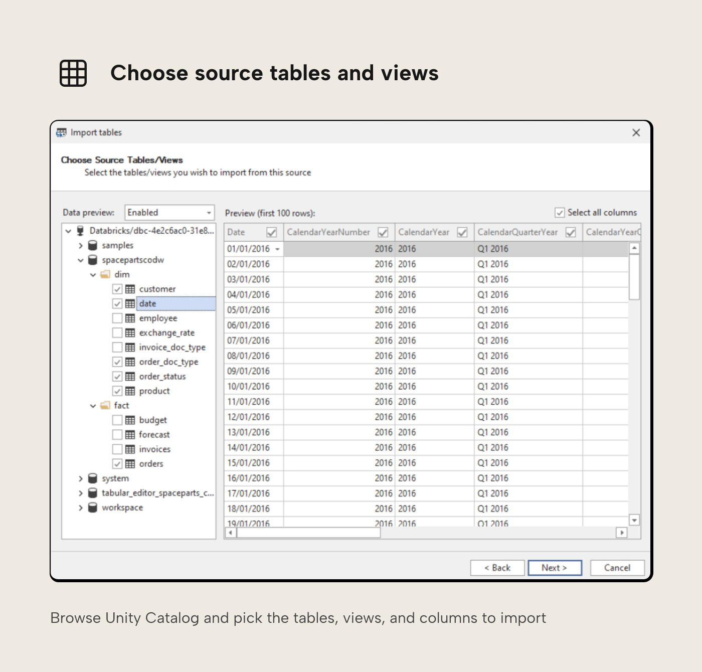 Tabular Editor 3 Choose Source Tables and Views step showing the Databricks Unity Catalog tree of dim and fact tables with a data preview